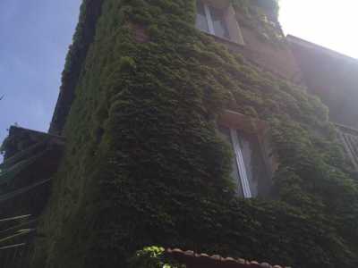 Il palazzo di via Salvemini visto da vicino